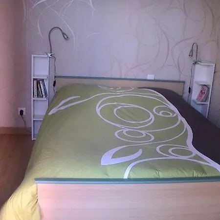 Le Castel De Larralde Otel Assat